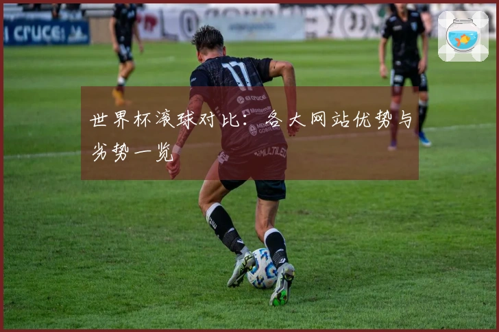 世界杯滚球对比：各大网站优势与劣势一览