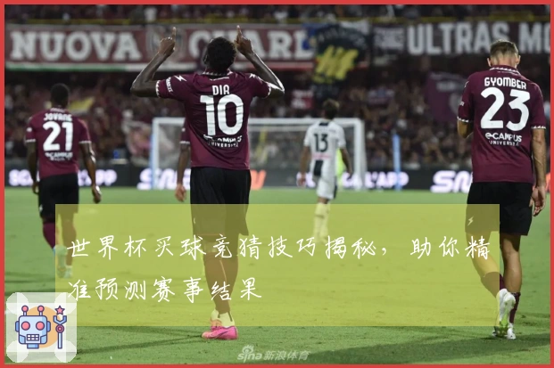世界杯买球竞猜技巧揭秘，助你精准预测赛事结果