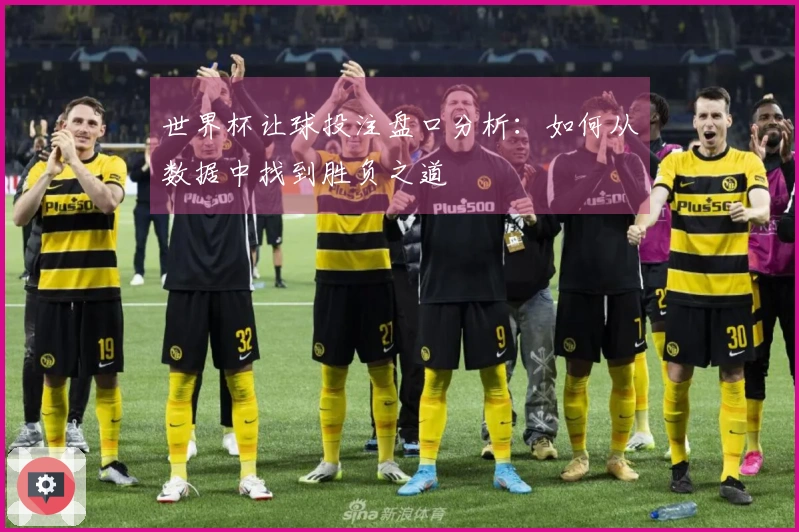 世界杯让球投注盘口分析：如何从数据中找到胜负之道