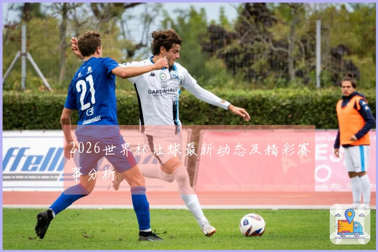 2026世界杯让球最新动态及精彩赛事分析