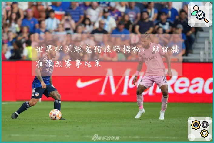 世界杯买球竞猜技巧揭秘，助你精准预测赛事结果