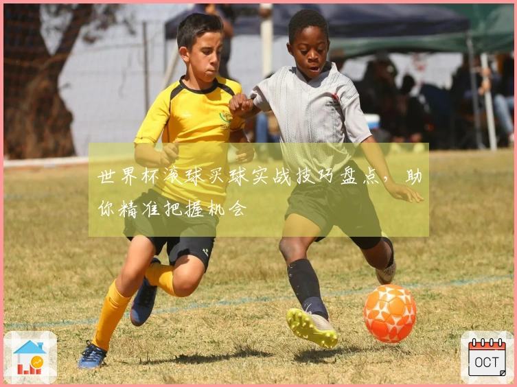 世界杯滚球买球实战技巧盘点，助你精准把握机会