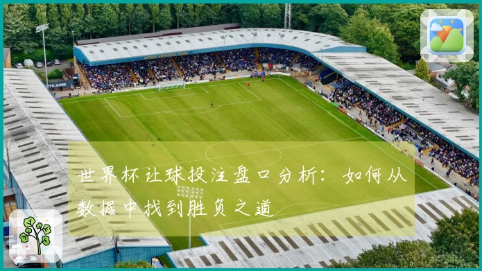 世界杯让球投注盘口分析：如何从数据中找到胜负之道
