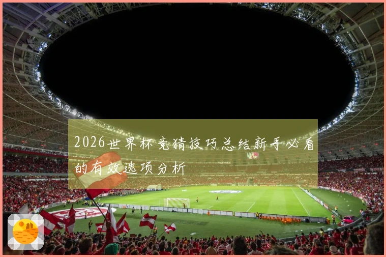 2026世界杯竞猜技巧总结新手必看的有效选项分析