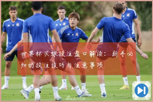 世界杯买球投注盘口解读：新手必知的投注技巧与注意事项