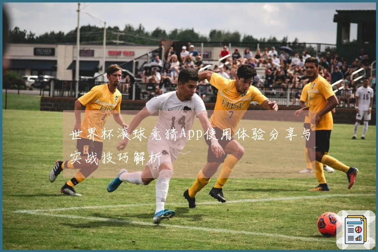 世界杯滚球竞猜App使用体验分享与实战技巧解析