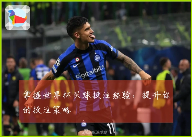 掌握世界杯买球投注经验，提升你的投注策略