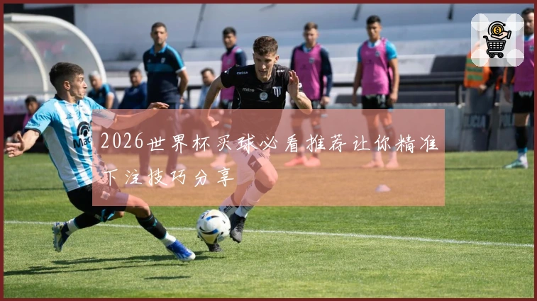 2026世界杯买球必看推荐让你精准下注技巧分享
