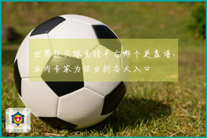 世界杯买球竞猜平台哪个更靠谱，业内专家为你分析各大入口