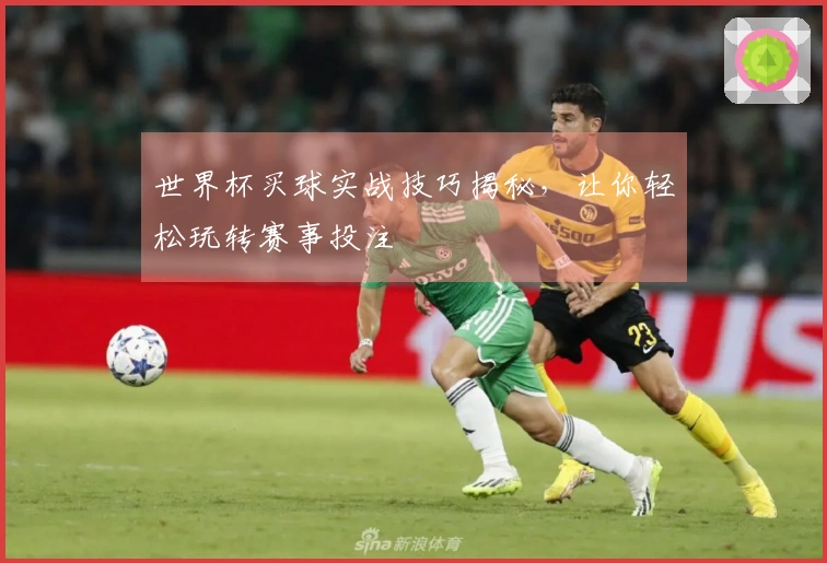 世界杯买球实战技巧揭秘，让你轻松玩转赛事投注