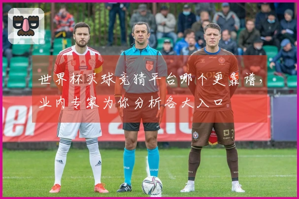 世界杯买球竞猜平台哪个更靠谱，业内专家为你分析各大入口
