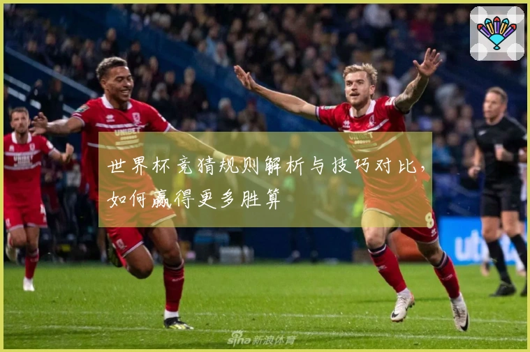 世界杯竞猜规则解析与技巧对比，如何赢得更多胜算